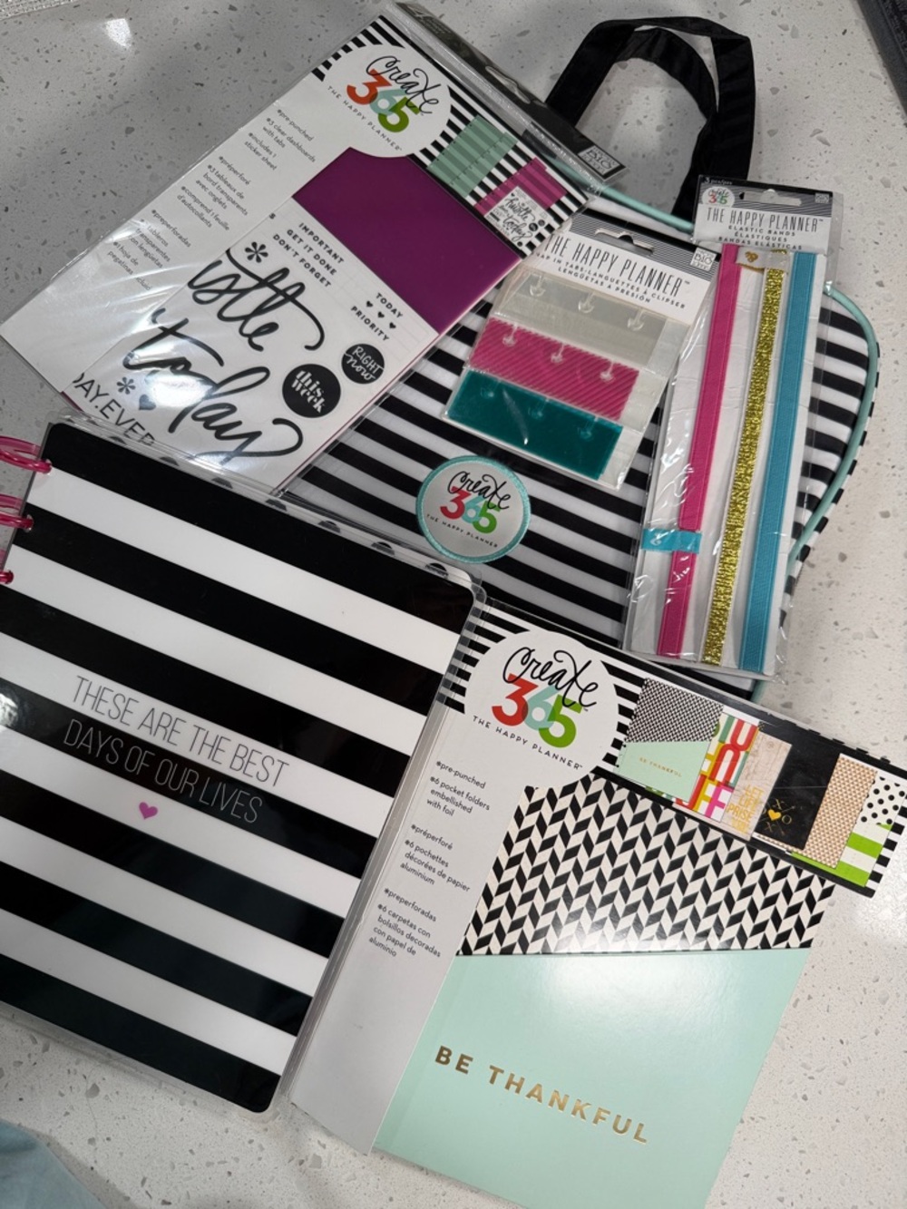 LOT Create 365 The Happy Planner Storage Case Elastic Bands Snap in Tabs Dash